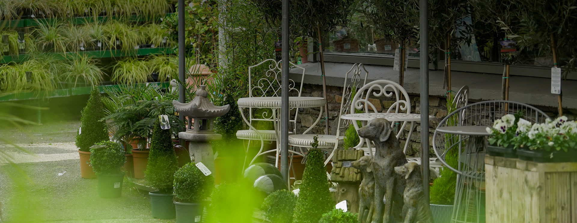 About Us Kiernans Garden Centre Cork Garden accessories