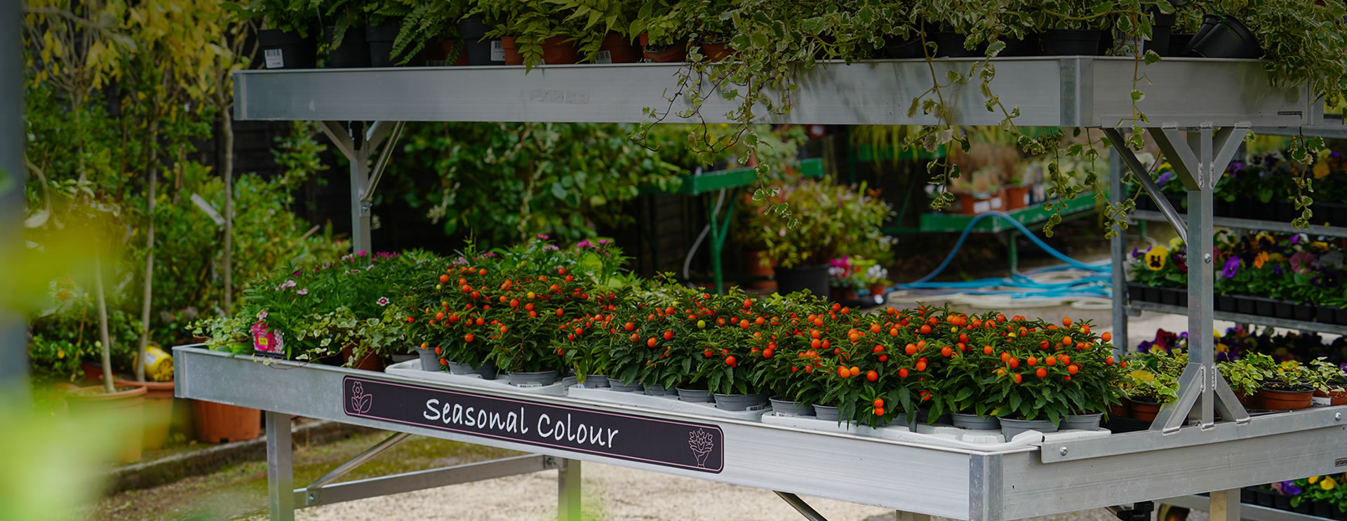 About Us Kiernans Garden Centre Cork Garden accessories