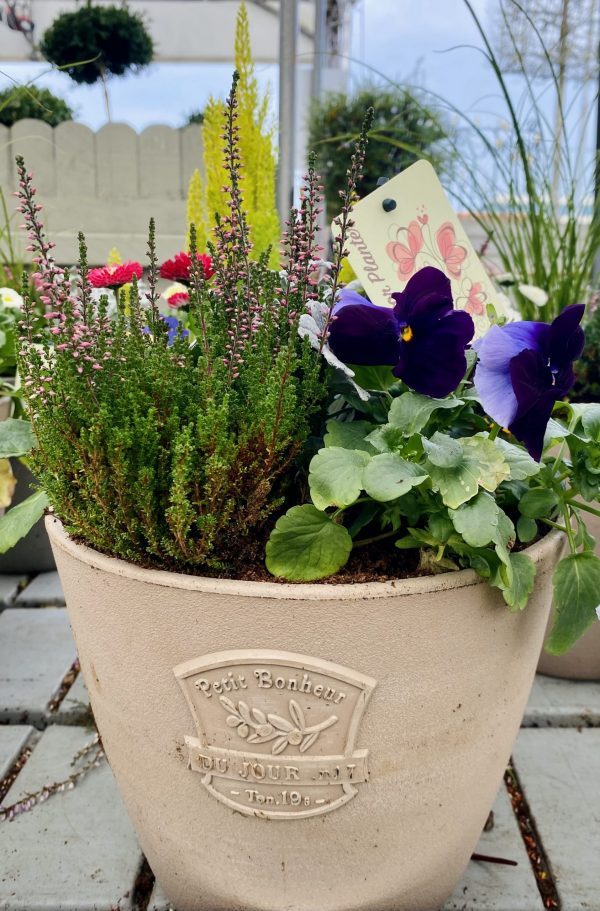Kiernan\'s Garden Centre, Douglas, Cork