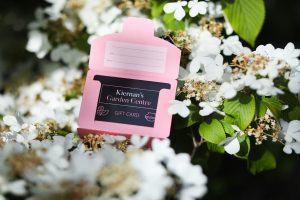kg-1-3-300x200 Gift Card for Kiernan's Garden Centre